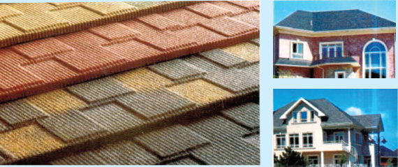 image_2025-07-03_091410964